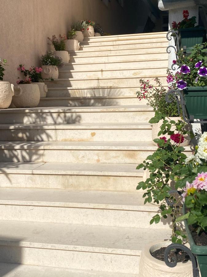 Guest House Perovic Sutomore Exterior photo